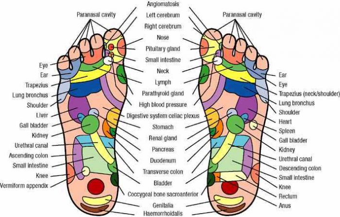 What Reflexology Can Do For You Willow Health And Wellness